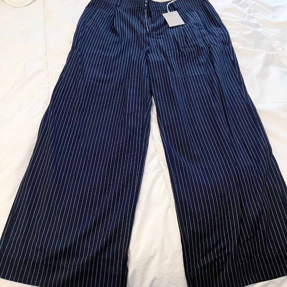 Everlane High Rise Tencel Wide Leg Pants